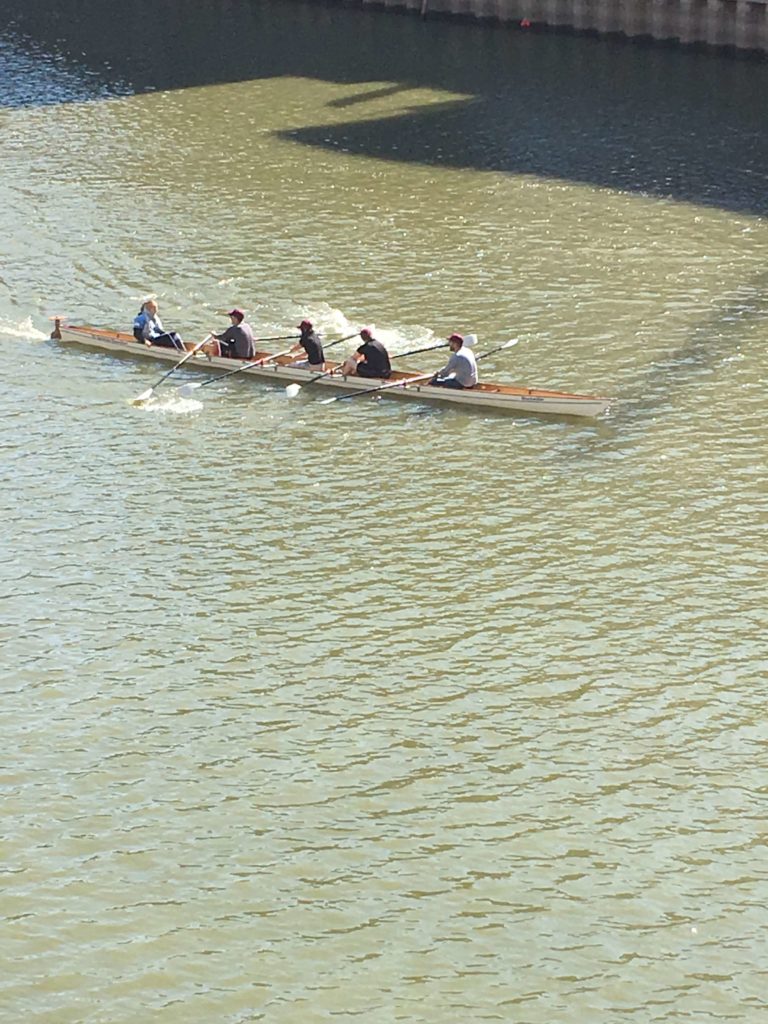 Düsseldorf am Ruder 2018