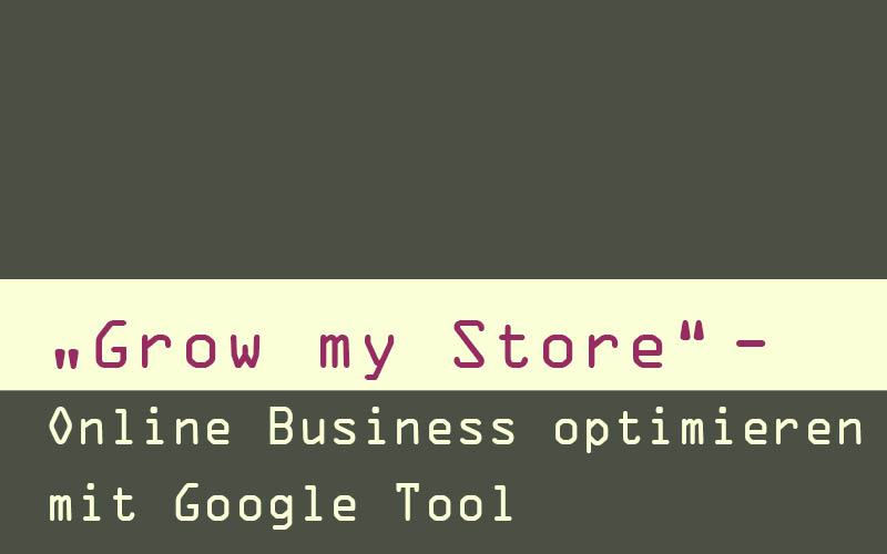 Online-Business optimieren mit Google „Grow my Store“