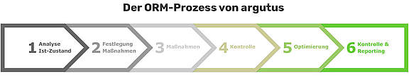 infografik-argutus-orm-prozess.jpg